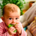 Baby in pink shirt chewing green pepper for teething relief.